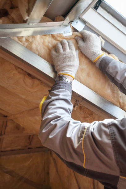 Eco-Friendly or Green Insulation Solutions in Braham, MN